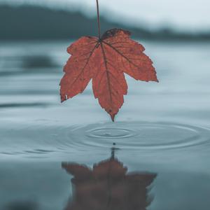 国产桃色无码视频
